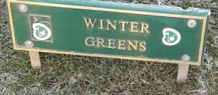 Winter Greens in Play today 3rd Jan 2019