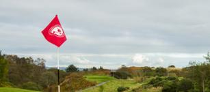 Course Improvements - 11th & 12th Holes 